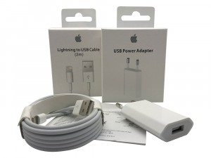 Caricabatteria Originale 5W USB + Cavo Lightning USB 2m per iPhone 6 Plus A1524